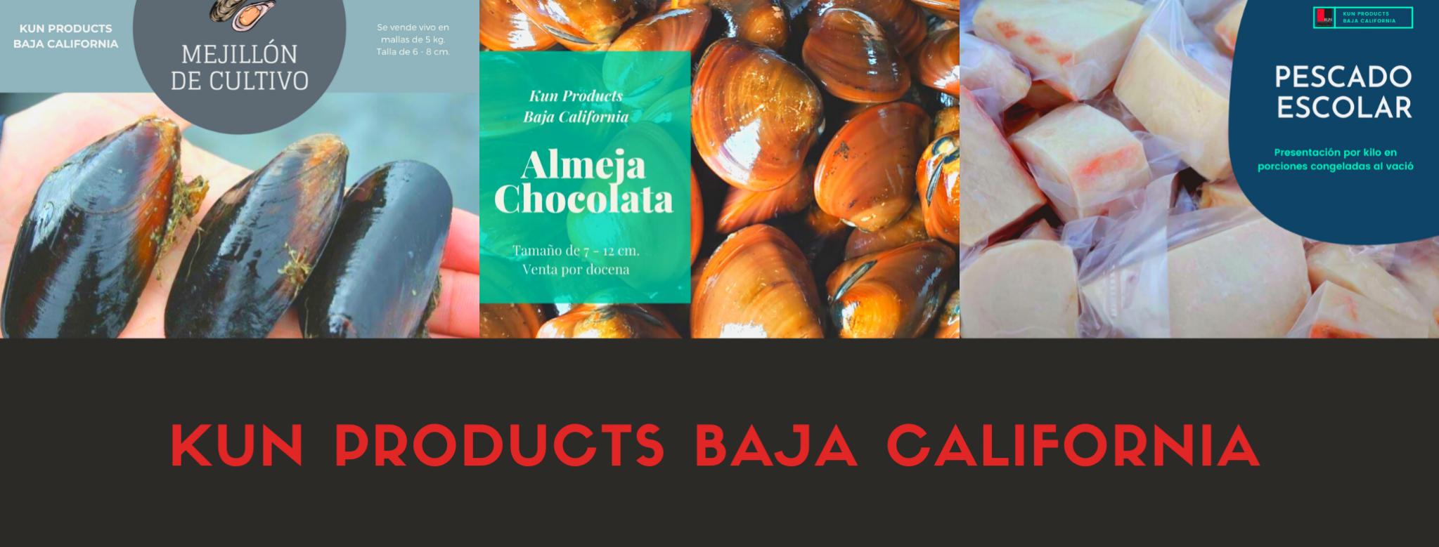 Kun Products Baja California_inicio